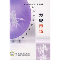 发电市场/电力市场研究丛书