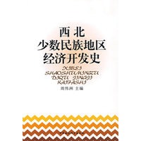 西北少数民族地区经济开发史