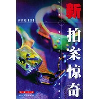 新拍案惊奇