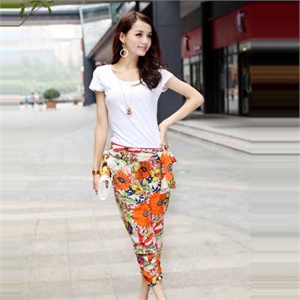 薇茹2012夏装新款韩版女装时尚户外薄款休闲百搭两件套装YJLY1283