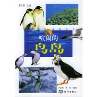 喧闹的鸟岛