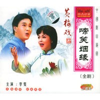 黄梅戏:啼笑姻缘(2vcd)