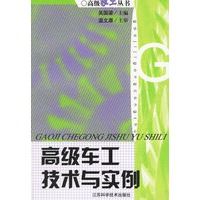 高级车工技术与实例/高级技工丛书