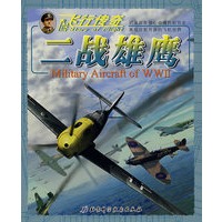 飞行传奇：二战雄鹰
