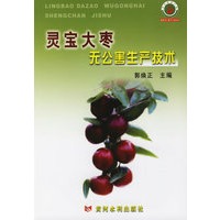 灵宝大枣无公害生产技术