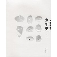 少年史——个体言说丛书