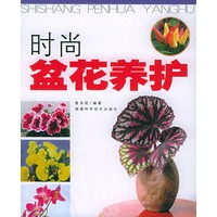 时尚盆花养护