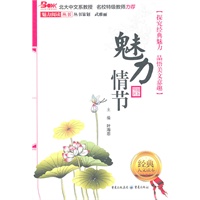 魅力情节