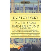 Notes from Underground 地下室手记
