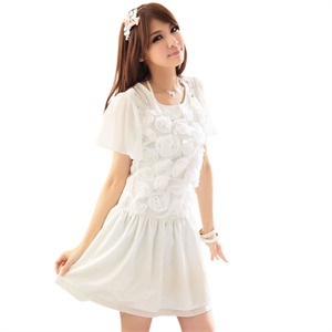 1475大码女装2011夏装新品短袖雪纺盘花纱织连衣裙
