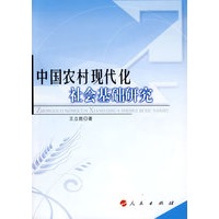中国农村现代化社会基础研究(L)
