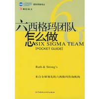 六西格玛团队怎么做/国际质量译丛