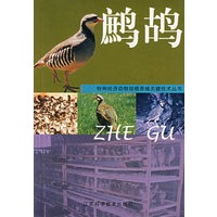 鹧鸪