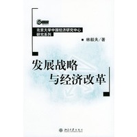 发展战略与经济改革——北京大学中国经济研究中心研究系列