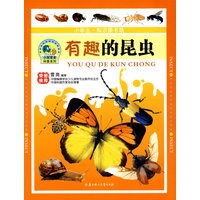 有趣的昆虫：小学生·知识图书馆