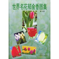 世界名花郁金香图集