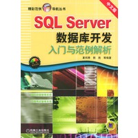 SQL Server数据库开发入门与范例解析