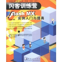 闪客训练营FLSAH MX实例入门与提高(含盘)
