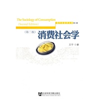 消费社会学(第二版)