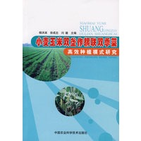 小麦玉米双垄作耦联双季菜高效种植模式研究