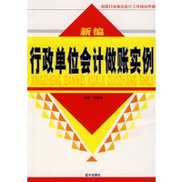 新编行政单位会计做账实例
