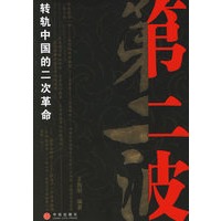 第二波：转轨中国的二次革命