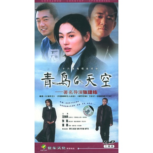 青鸟的天空 :二十六集电视连续剧(3HDVD)(王学
