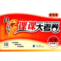 化学 九年级 下（粤科版）（2011年9月印刷）/课课大考卷