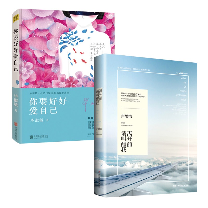 【离开前请叫醒我 你要好好爱自己 (套装2册)毕