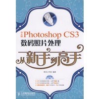 中文版Photoshop CS3数码照片处理从新手到高手(1CD)