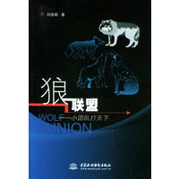 狼联盟——小团队打天下