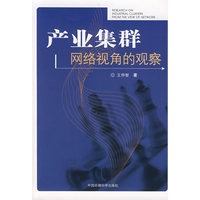 产业集群网络视角的观察