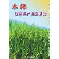 水稻良种高产高效栽培