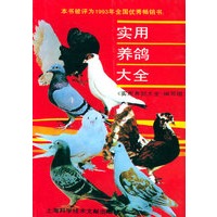 实用养鸽大全