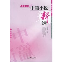 2005年中篇小说新选