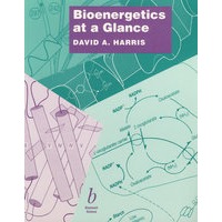 生物能学一览 Bioenergetics at a Glance