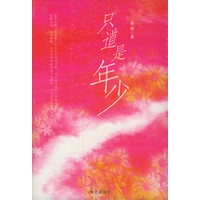 只道是年少
