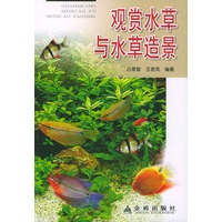 观赏水草与水草造景