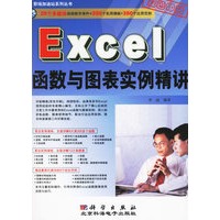 Excel函数与图表实例精讲(附盘)