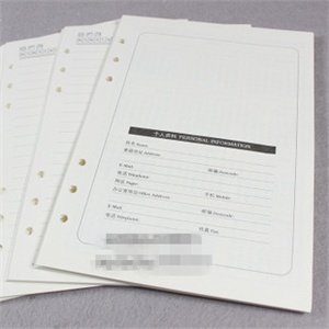 勤得利6孔活页芯8寸替芯活页纸A5活页替芯210*145mm