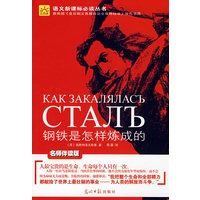钢铁是怎样练成的