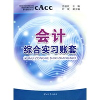 会计综合实习帐套（全二册）