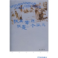 《少年文艺》丛书第二辑 我真幸运，我是一个孤儿