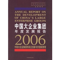 2006中国大企业集团年度发展报告