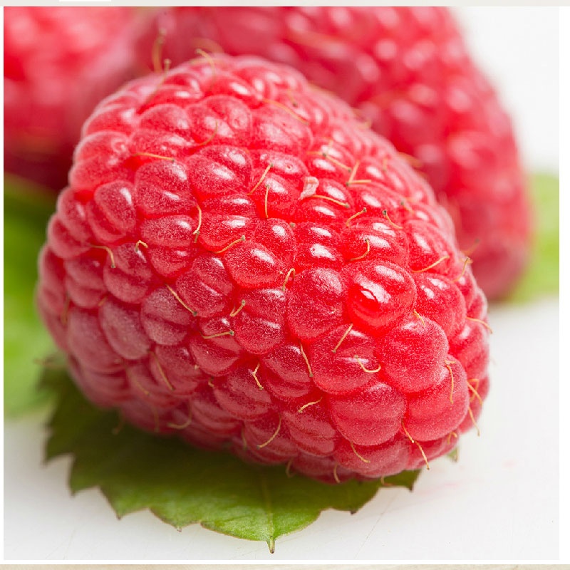 【墨西哥红莓125g*2盒(现货热卖)图片】高清图