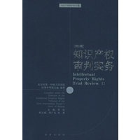 知识产权审判实务（第二辑）/知识产权保护前沿