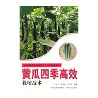 黄瓜四季高效栽培技术