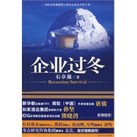 企业过冬(一部金融危机下的企业生存战略书)