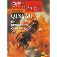 勤劳的能工巧匠(精)/世界野生动物百科