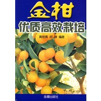 金柑优质高效栽培